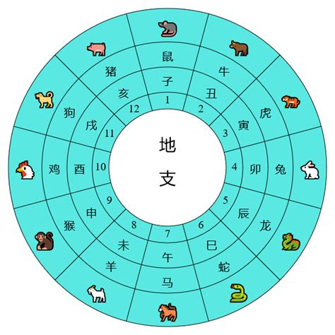 12天干地支時間